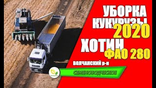 Уборка кукурузы Хотин 2020 / Волчанский р-н.