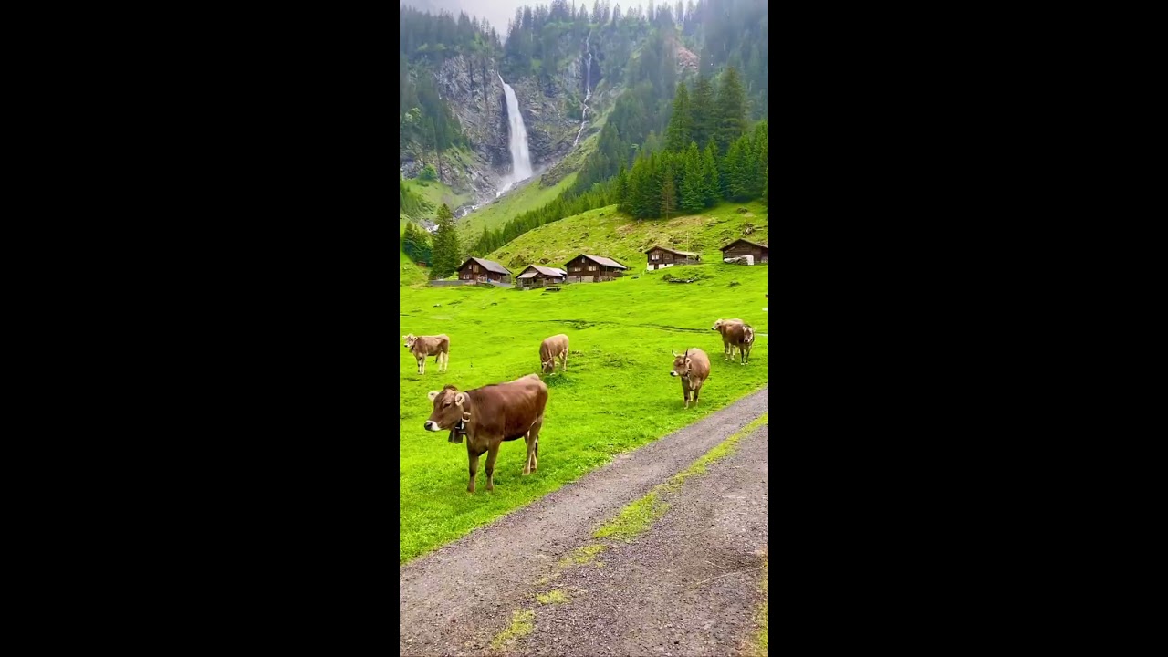 Switzerland Beautiful 