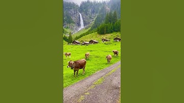 Thumbnail of Switzerland 🇨🇭 | Beautiful??