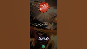 سورة الفيل للقارئ ماهر المعيقلي مقاطع قرآن قصيرة حالات واتس