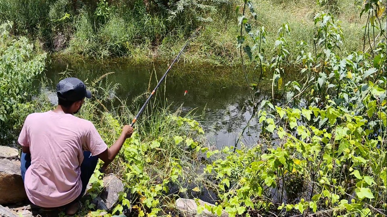 Hooked on Success! 🎣 Easy Tips to Catch Tilapia with The Trending Village Stream Boy!