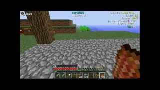 DaftPVF's InGameInfo and bspkrs's StatusEffectHUD (SPOTLIGHT)