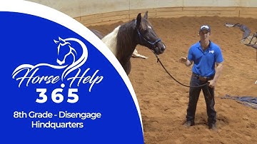 8th Grade - Disengage Hindquarters | Horse Help - Michael Gascon