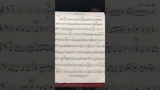 Dragonhunter Violin 1
