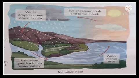 Class- III- EVS- Chapter- 12- Storing and Saving Water