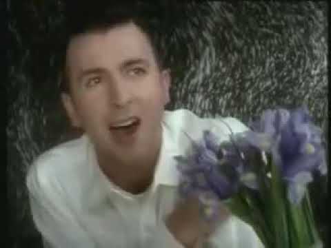 Soft cell   Say hello wave goodbye