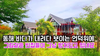 수십억 가치의 그림같은 빈집들이 바닷가 언덕위에 그냥 방치되고 있네요 empty house mountain village Korea 🇰🇷 ♥️