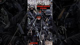 Белая Стрела: операция оборотни в погонах боевой группы возмездия спецназа "Призраки Максима Жукова!