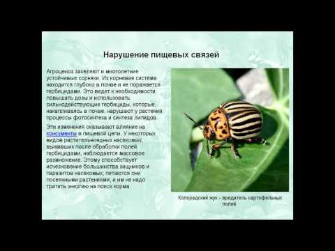 Агроэкосистемы