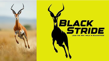 CorelDraw Best Techniques for Experts & Beginners - How to Create Brand Logo Design - Ahsan Sabri