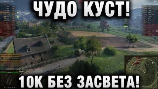 ЧУДО КУСТ! 10К БЕЗ ЗАСВЕТА! С ПИВОМ В РУКЕ!