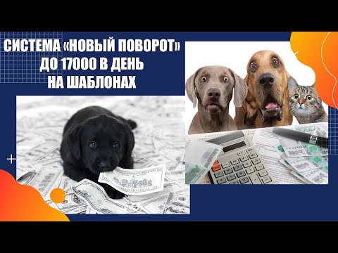 Удаленная работа гибкий график