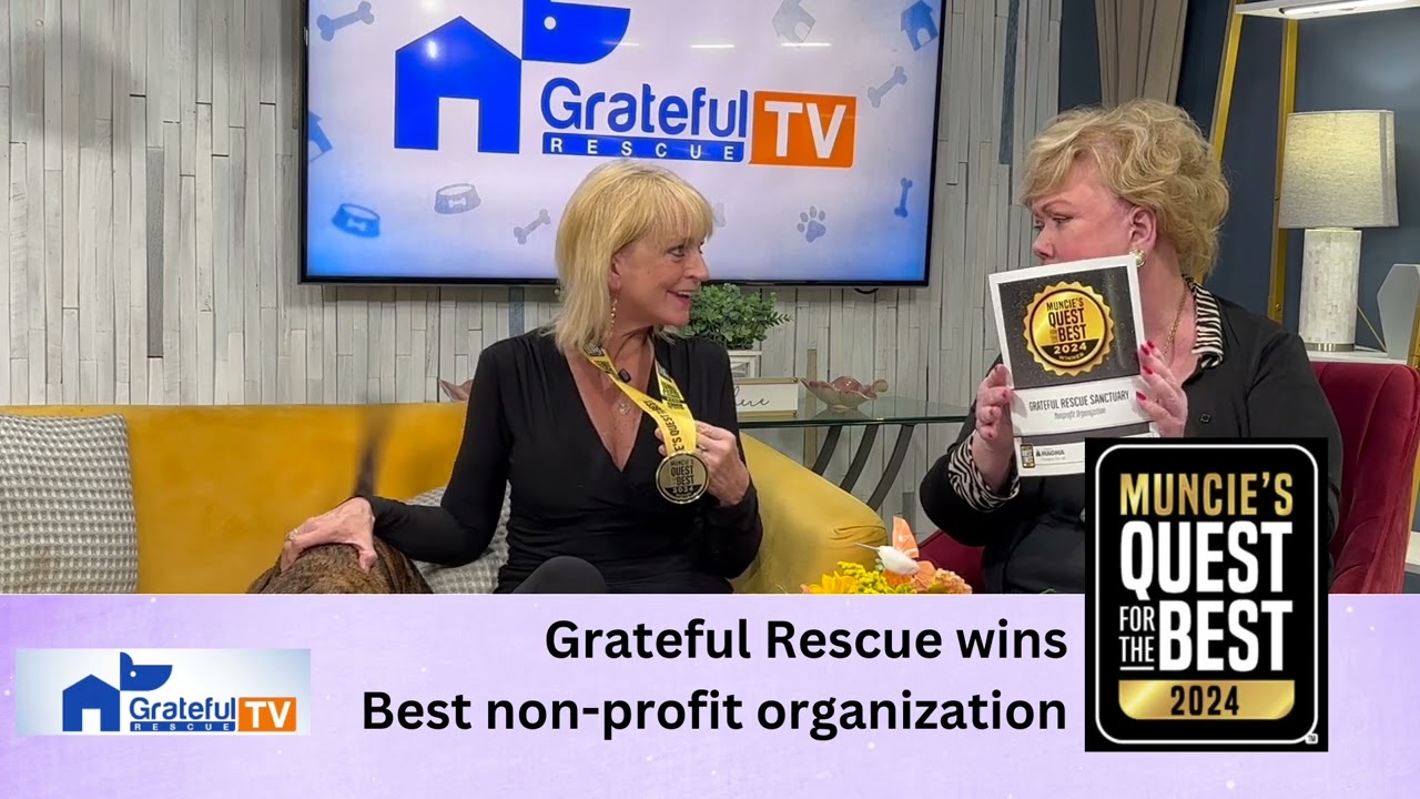Grateful Rescue wins Quest for the Best award