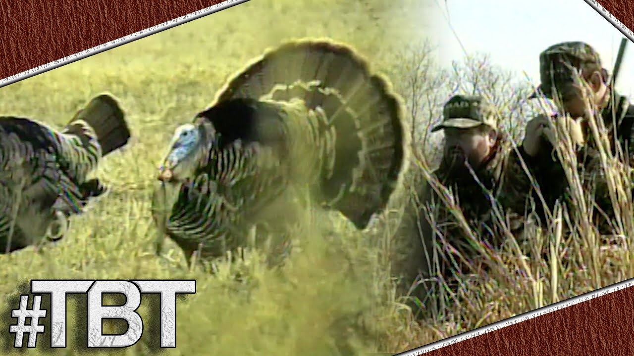 Turkey Roping Turkey Hunting in Kansas! Roping in those Gobbling Longbeards! - YouTube