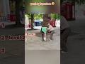 you laugh you lose 🤣 try not laugh impossible #34 #shorts #funnyfails #trynottolaugh #viral