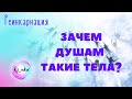 Зачем душам такие тела?