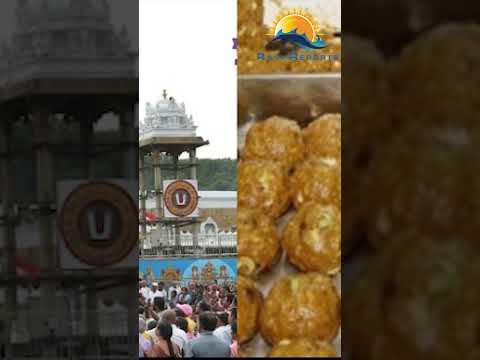 తిరుమల కల్తీనెయ్యి విచారణ వేగవంతం