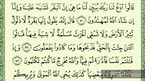 سورة البقرة الصفحة 11 بصوت الشيخ ماهر المعيقلي مكررة 5 مرات