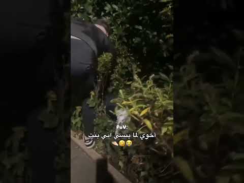 اخي لما ينسي اني بنت حالات واتس اب ستوريات انستا لايك اشتراك اكسبلور 