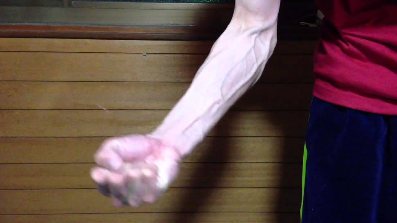よく見える 腕の血管 1 前腕 Youtube