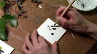 豆色紙に描く　ヘンリー蔦や紫式部など