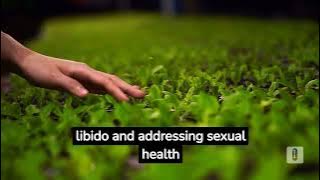 Unveiling Tribulus terrestris: An American Nutrition Channel Exclusive