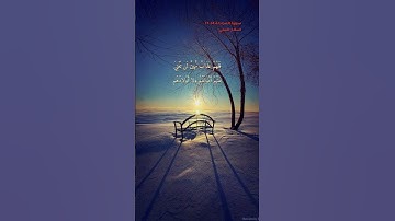 سورة المجادلة الاية 14-17
