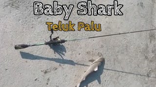 LAGI CASTING DI TELUK PALU, TIBA-TIBA NELAYAN KASIH ANAKAN IKAN HIU! 😱🦈