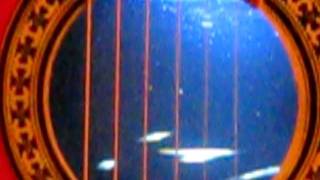 Deaf Perception (video guitar)