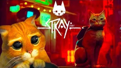 STRAY  Walkthrough Gameplay Part 1 - INTRO (FULL GAME)