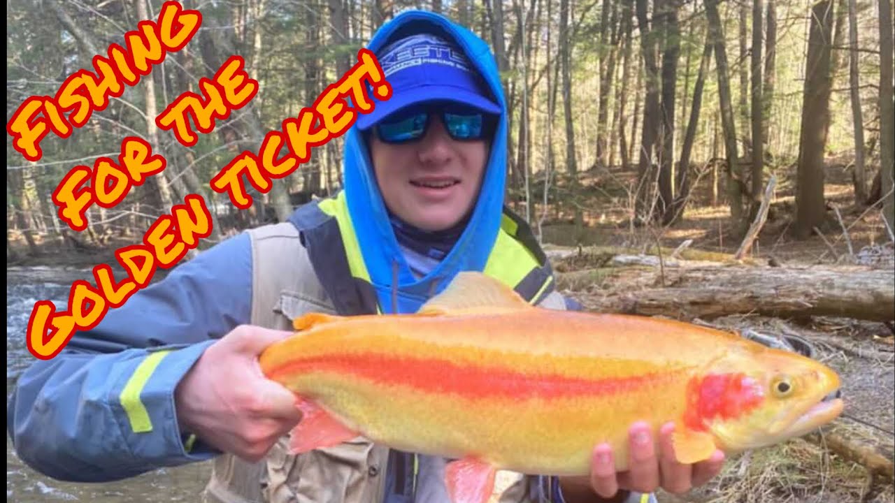 PA Opening Day Trout Fishing Season 2021! We are Fishing For Golden