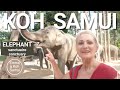 Que faire  koh samui pendant les vacances  sanctuaire aux lphants