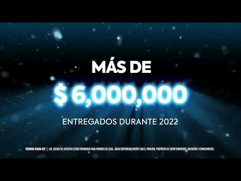 Bingo de la fama Recargado en Hollywood Entertainment Valle Alto