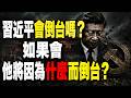習近平會倒臺嗎？如果會，他將因為什麼而倒臺？獨裁政權最怕的不是經濟崩盤！真正致命的是一隻“黑天鵝”：從齊奧塞斯庫、本·阿里到穆巴拉克，看似牢不可破的政權為何能在幾天內突然垮掉？#中國政治 #習近平
