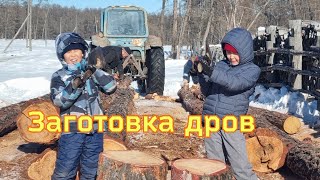 Заготовка дров на зиму. Harvesting firewood for the winter in the village