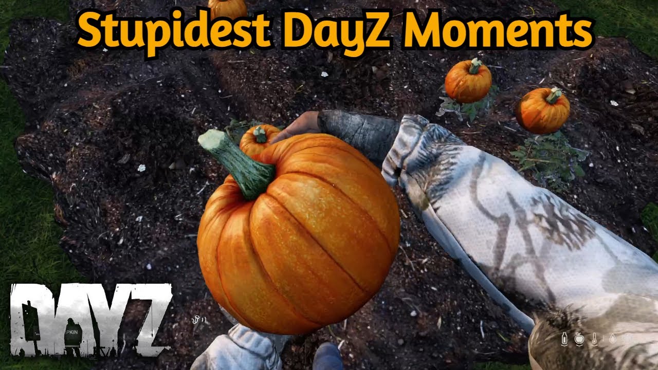 Funny Moments #1 - DayZ Montage - YouTube