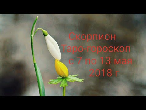 Видео: Хороскоп 13 май г