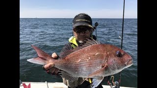 ひとつテンヤ真鯛釣り　飯岡　梅花丸　2017.4.20①