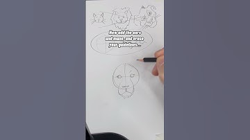 How to Draw a Lion. Please subscribe! #shorts