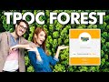 Abbiamo creato una FORESTA da più di 500 ALBERI!