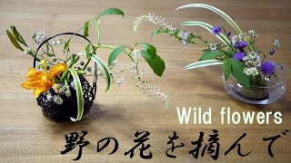 【生け花】そのままでは雑草、生ければ野の花【ikebana】ヒメジオンをダイソー水盤と竹籠/Wild flowers/野花/Flower basket/花籃/weed/雜草/cannabis/Gras