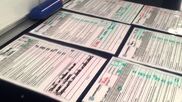 NZW Lean Audit scores collection