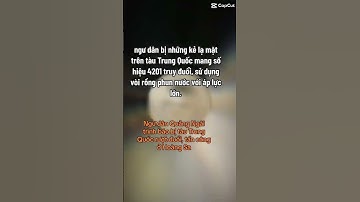 Ngư dân Quảng Ngãi trình báo bị tàu Trung Quốc rượt đuổi, tấn công ở Hoàng Sa #kinhtedongian