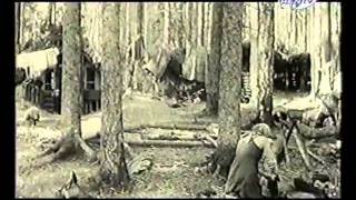 Русская Дивизия СС 2/3 Русская Дивизия СС 2/3