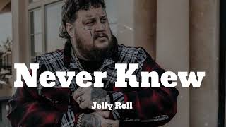 Best Of Jelly Roll - Never Knew (Song)🎼