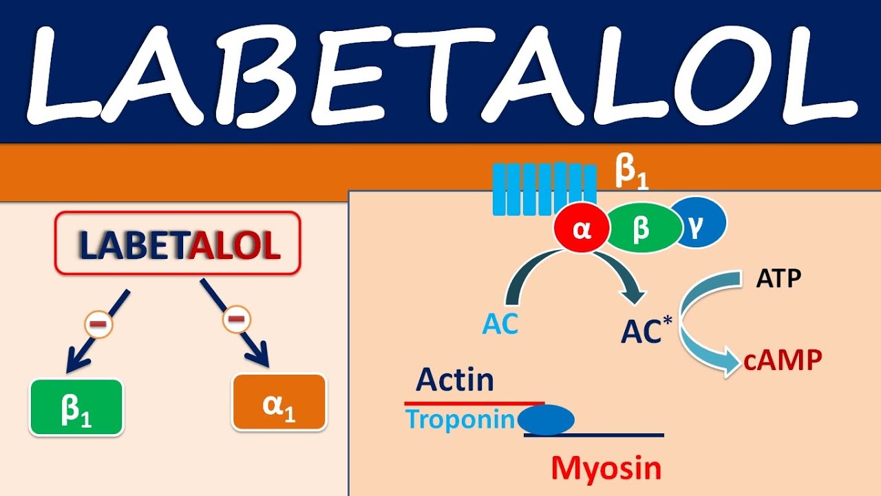 Labetalol 100 mg (Trandate): What Is Labetalol Used For? Uses, Dosage and  Side Effects of Labetalol 