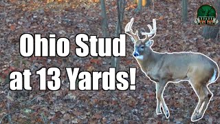 Two Bucks Down! Incredible Bow Hunting Action! by Weekend Woodsmen 1,469 views 8 months ago 4 minutes, 4 seconds