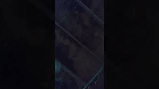 Test Track 1