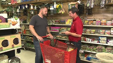 Setting up Bird Feeders with Ace Hardware