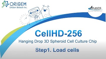 CellHD-256: Step1. Load cells